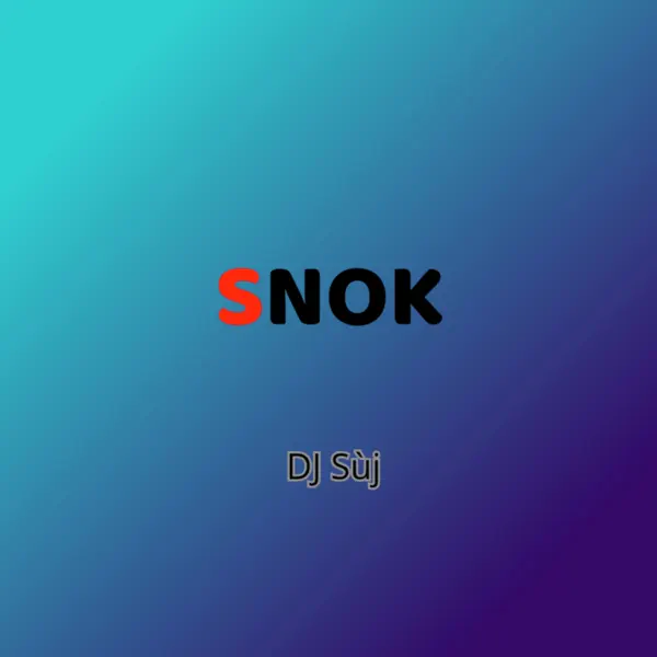 DJ SùJ – Snok