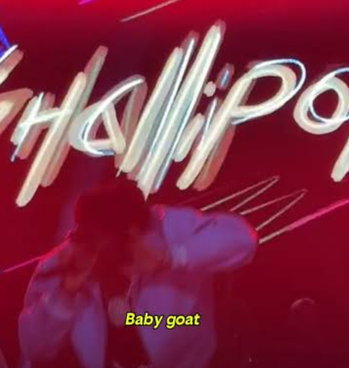 Shallipopi – Snokonoko Remix