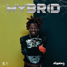 Shoday – HYBRID (Album)
