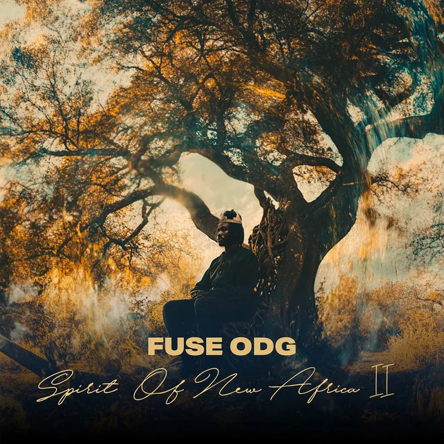 Fuse ODG – Dear Me